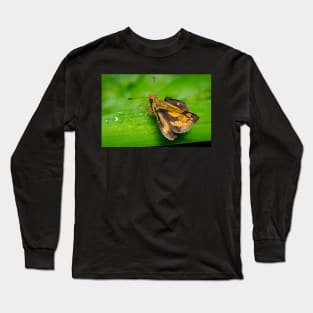 Unique and organic photo of a yellow skipper (butterfly) with wings opened Long Sleeve T-Shirt